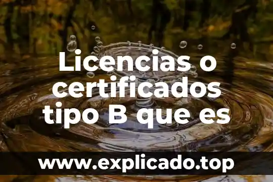 Qué es la ausencia de tipo en el delito 5 Licencias o certificados tipo B que es