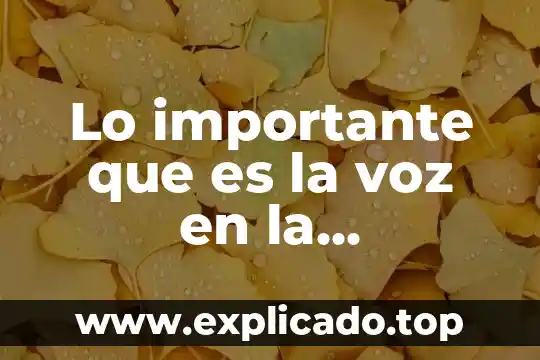 Lo importante que es la voz en la comunicación oral