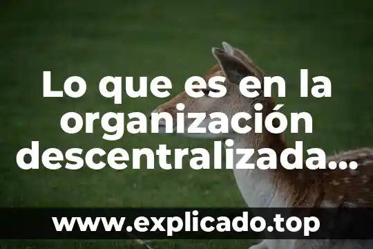 Administracion descentralizada que es red 7 Lo que es en la organización descentralizada y descentralizada