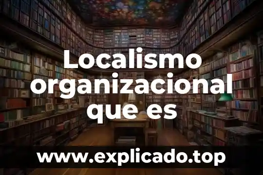 Que es una delegacion en la dimension organizacional 3 Localismo organizacional que es