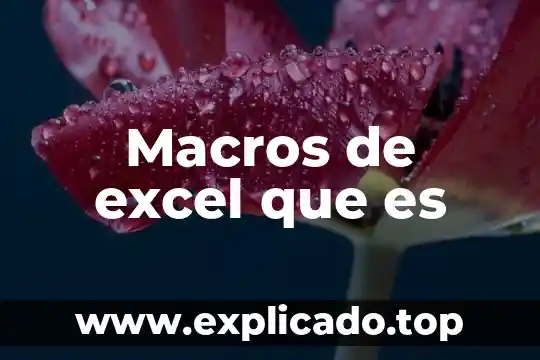Que es el alineado en excel 5 Macros de excel que es