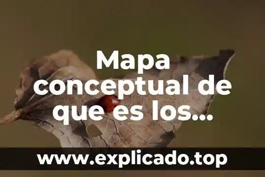 Qué es y qué características tiene un mapa conceptual 7 Mapa conceptual de que es los planes y programas