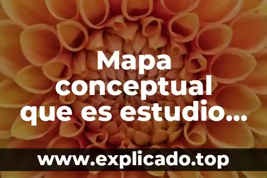 Mapa conceptual de que es la contratacion 5 Mapa conceptual que es estudio socioeconómico