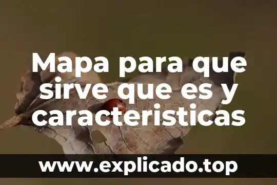 Que es estructuras especializadas 4 Mapa para que sirve que es y caracteristicas