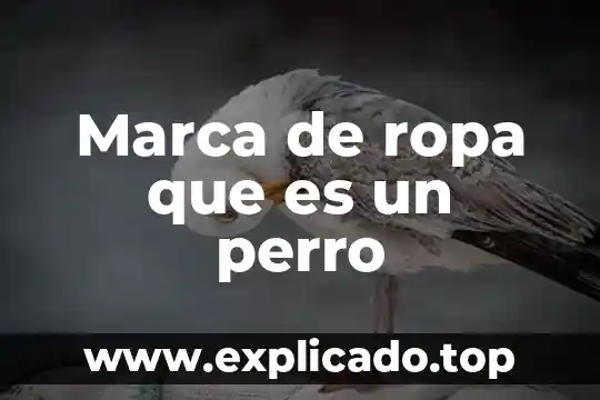 De que es marca soundgear 3 Marca de ropa que es un perro