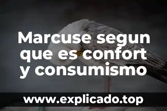 Marcuse segun que es confort y consumismo
