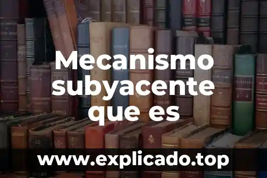 Qué es el mecanismo de infección 4 Mecanismo subyacente que es