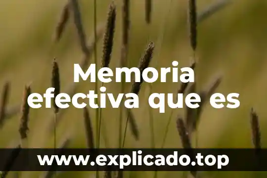 Que es memoria grafica de la rueda de prensa 7 Memoria efectiva que es
