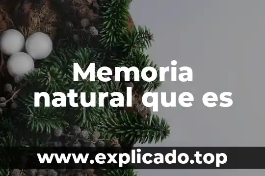 Que es memoria grafica de la rueda de prensa 8 Memoria natural que es