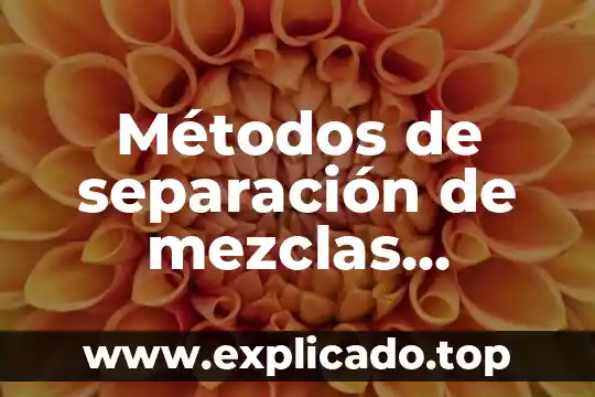 Que es magnetismo animal 4 M茅todos de separaci贸n de mezclas magnetismo que es