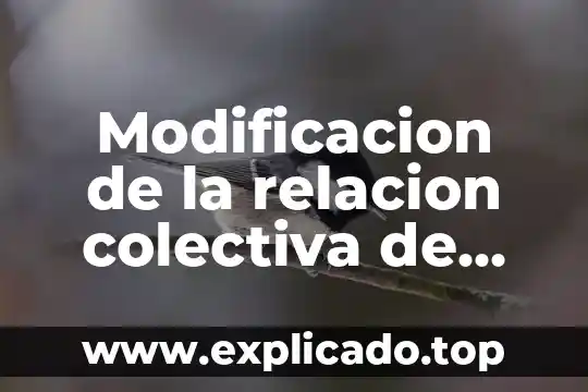 Que es un programa de modificacion de conducta 3 Modificacion de la relacion colectiva de trabajo que es