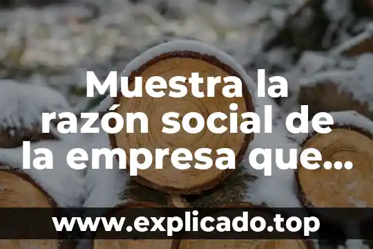 Que es la razon social del patron 3 Muestra la razón social de la empresa que es