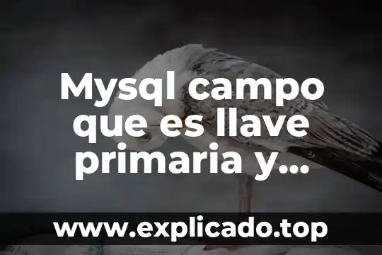 Que es una llave en base de datos mysql 4 Mysql campo que es llave primaria y foranea