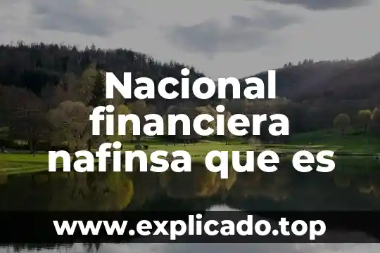 Qué es visión económica y visión financiera 3 Nacional financiera nafinsa que es