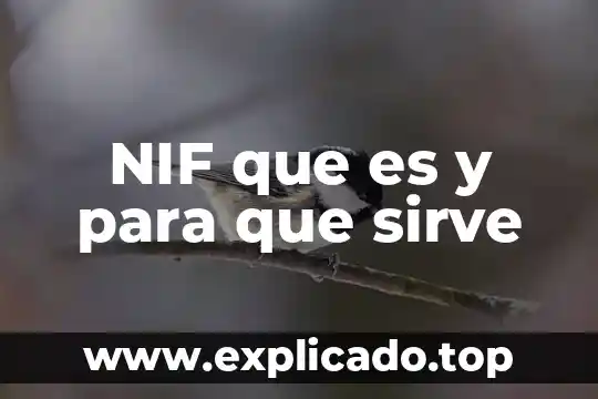 Que es y para que sirve una direccion mac 3 NIF que es y para que sirve