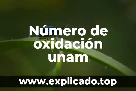Número de oxidación unam