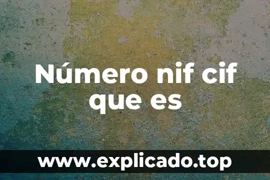 Definicion de que es un numero euler 6 Número nif cif que es