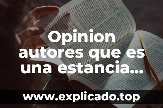 Que es una estancia en programacion 6 Opinion autores que es una estancia infantiles