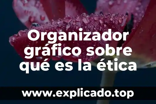Diseño gráfico textil que es 4 Organizador gráfico sobre qué es la ética