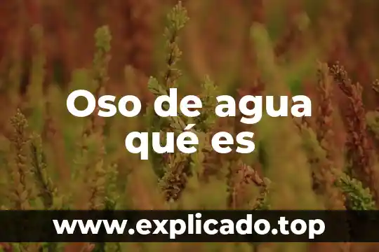 Que es la conductividad termica del agua 6 Oso de agua qué es