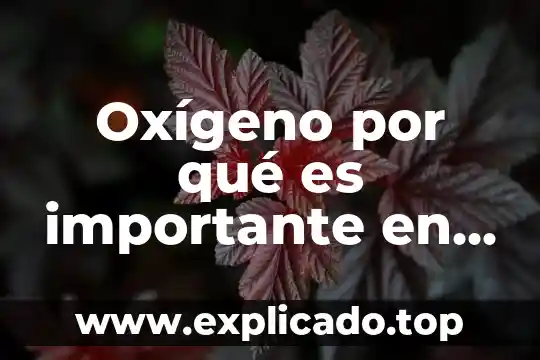 Que es el entorno de programacion 7 Oxígeno por qué es importante en nuestro entorno