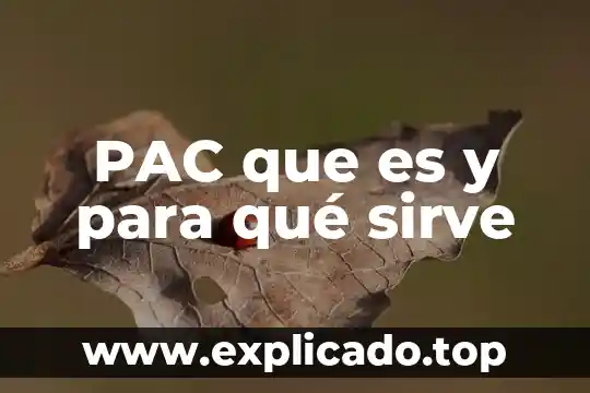 Algo que es como un sueño 7 PAC que es y para qué sirve