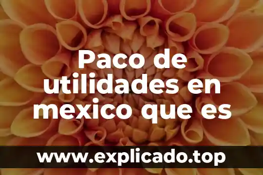 Que es el metodo de porcientos integrales utilidades y formula 4 Paco de utilidades en mexico que es
