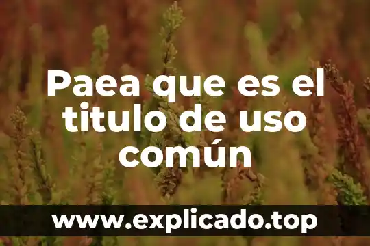 Qué es el uso del internet usos éticos 8 Paea que es el titulo de uso común
