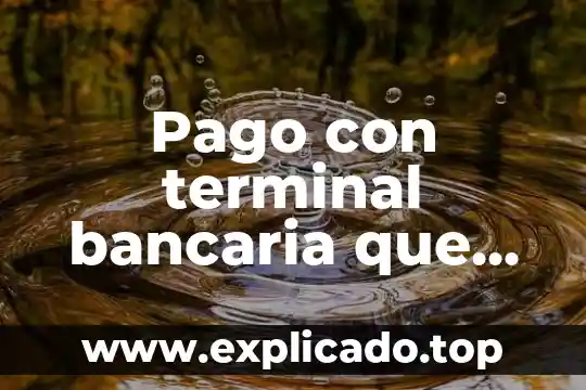 Que es una terminal carretra 3 Pago con terminal bancaria que es