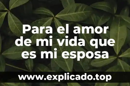 Que es bueno para que mi negocio huela rico todo el día 6 Para el amor de mi vida que es mi esposa