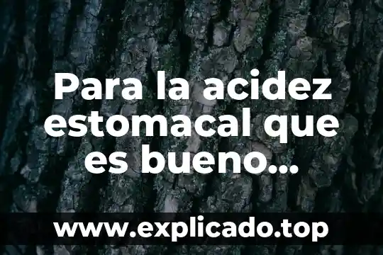 Para la acidez estomacal que es bueno tomar