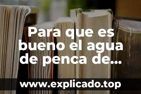 ¿Qué es un fluido en corriente de agua? 7 Para que es bueno el agua de penca de tuna