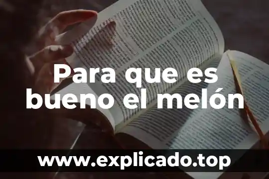 Para que es bueno el fruto arandano 5 Para que es bueno el melón