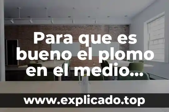 Qué es el medio ambiente para niños de preescolar definición 6 Para que es bueno el plomo en el medio ambiente