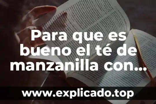 Laurel y canela para que es bueno 6 Para que es bueno el té de manzanilla con canela
