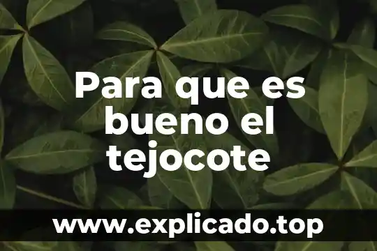 Biletan forte para que es bueno 6 Para que es bueno el tejocote