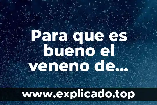 Para que es bueno el fruto arandano 3 Para que es bueno el veneno de abeja