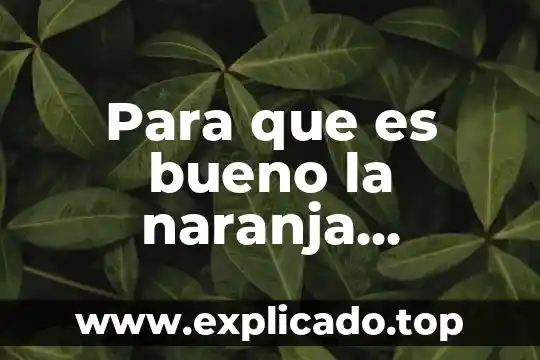 Que es bueno para las alergias en la nariz 4 Para que es bueno la naranja quemada