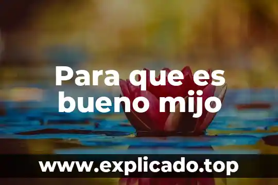 Para que es bueno mijo