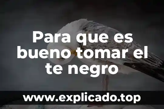 Qué es mejor tomar ibuprofeno o paracetamol 6 Para que es bueno tomar el te negro