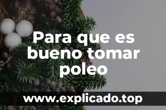 Qué es bueno tomar después de un legrado 7 Para que es bueno tomar poleo
