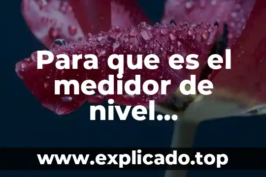 Que es el nivel de ingresos 4 Para que es el medidor de nivel hidrostatico presion diferencial