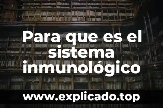 Qué es el sistema inmunológico y de cómo nos protege 8 Para que es el sistema inmunológico