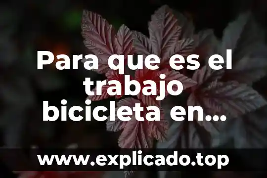 Para que es el trabajo bicicleta en fisioterapia