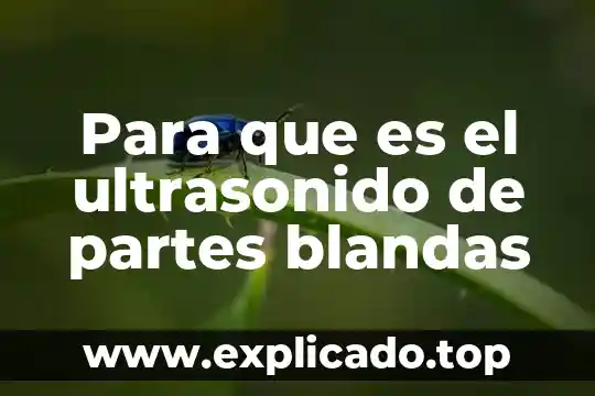 Que es el pantalla y sus partes 3 Para que es el ultrasonido de partes blandas