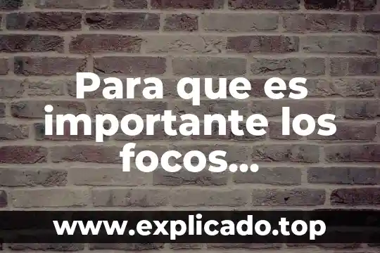Por que es importante el campo con autor 8 Para que es importante los focos precordiales