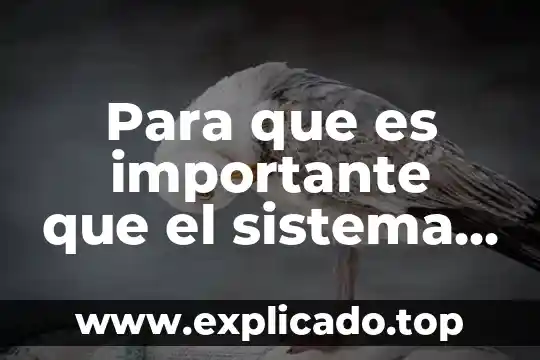 Que es el sistema nervioso dibulos faciles 8 Para que es importante que el sistema nervioso
