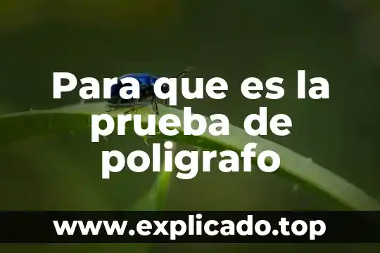 Para que es la prueba de poligrafo
