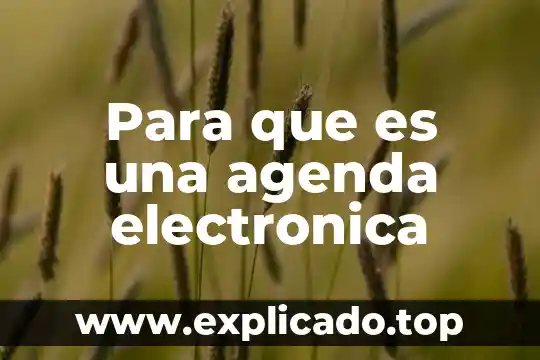 Agenda 2030 que es y en que consiste 4 Para que es una agenda electronica