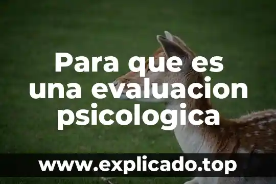 Que es una evaluacion de examen 3 Para que es una evaluacion psicologica